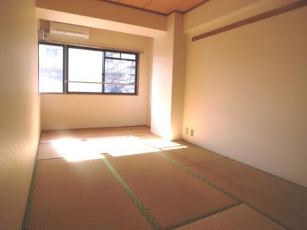 Living and room. South-facing Japanese-style room