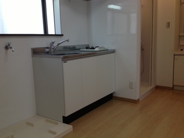 Kitchen. Sink new goods exchange