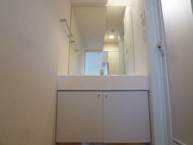 Washroom. Independent wash basin