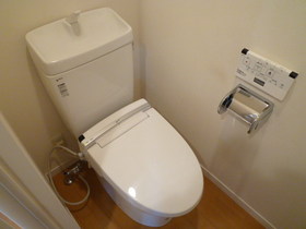 Toilet. Cleaning function toilet