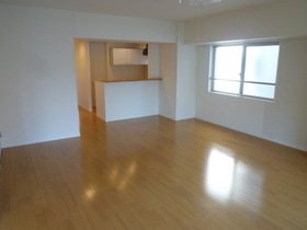 Living and room. 18.3 Pledge spacious living room