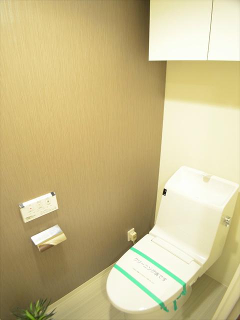 Toilet. Storage is a cupboard with