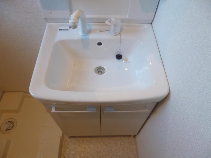 Washroom. Shampoo dresser