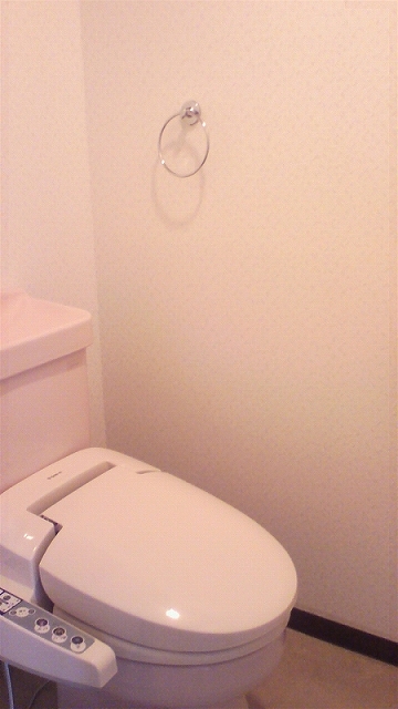 Other. Toilet