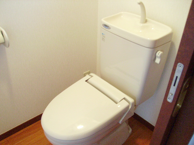 Toilet. Indoor reference photograph