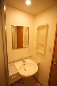 Toilet. Stylish washroom