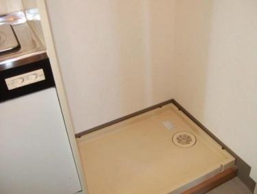 Kitchen. Washing machine in the room