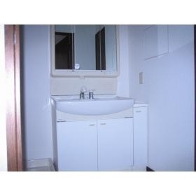 Washroom. Shampoo with Dresser