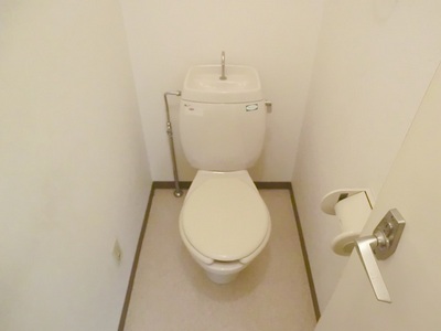 Toilet. Western-style toilet. 