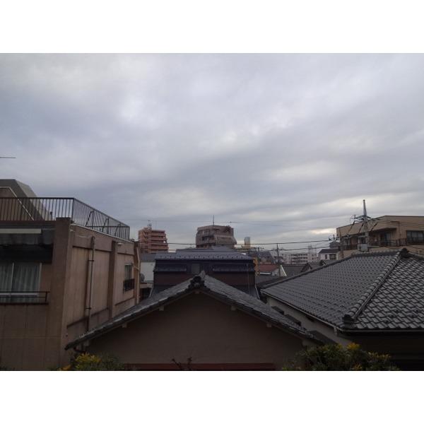 Other introspection. View