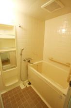 Bath. Add-fired function with bus