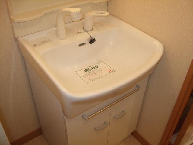 Washroom. Shampoo dresser (the same type)