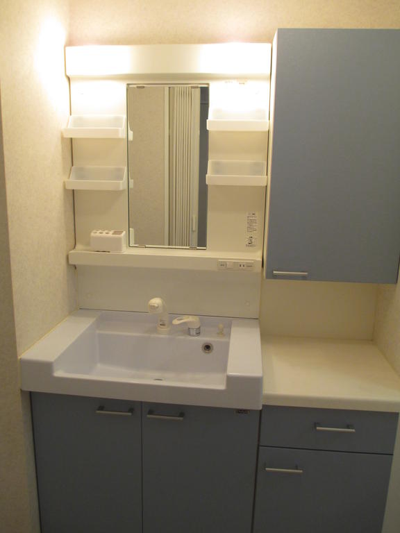 Washroom. Shampoo dresser