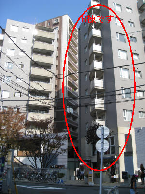 Building appearance. Designer's Twin Towers