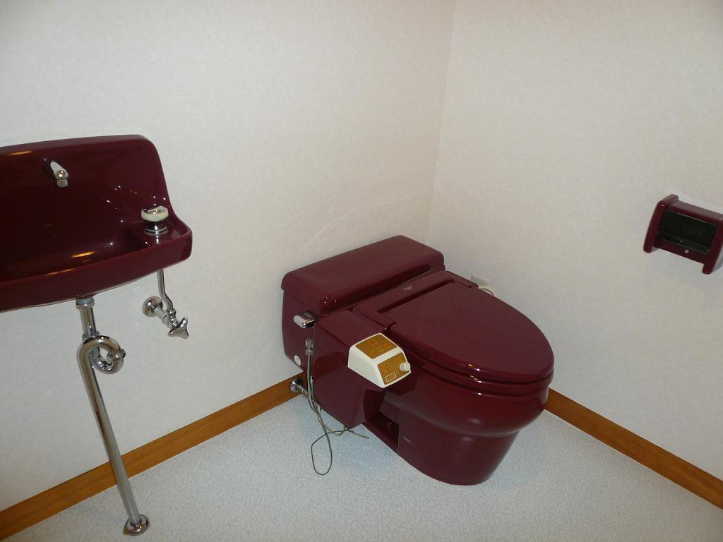 Toilet. There are two places toilet!