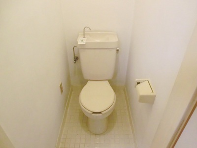 Toilet. Western-style toilet.