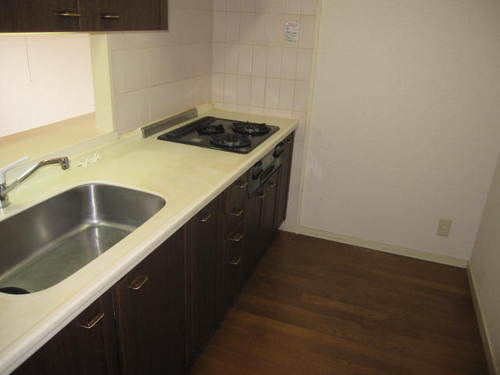 Kitchen. Kitchen (interior ago)