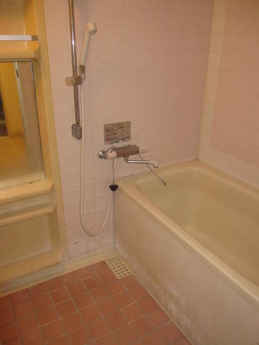 Bath. Bathroom (interior ago)