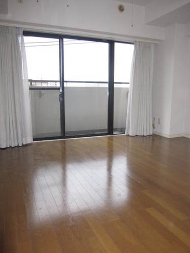 Living and room. Dining (interior ago)