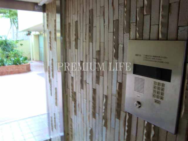 Other. With auto lock of peace of mind