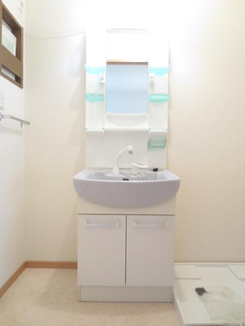 Washroom. Shampoo dresser