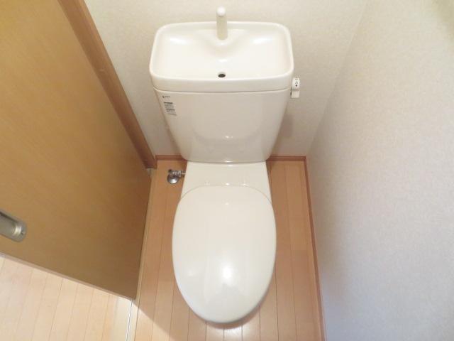 Toilet. Toilet