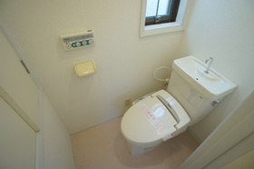 Toilet. Cleaning function with toilet seat
