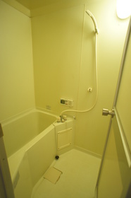 Bath. Spread of bus With additional heating function