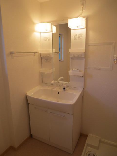 Washroom. Shampoo dresser