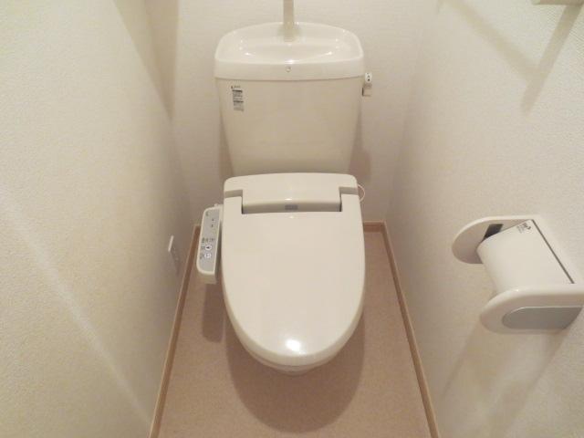 Toilet. Bidet