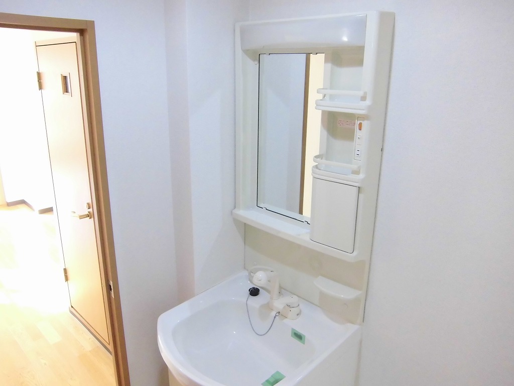 Washroom. Bathroom Vanity