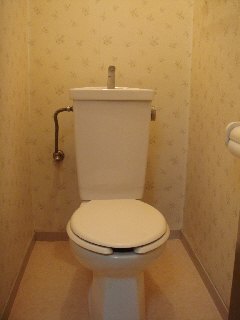 Toilet. Toilet