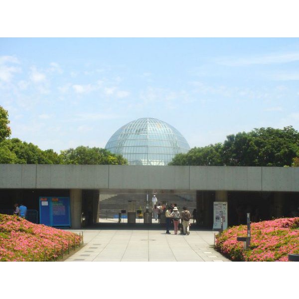 park. Horie 524m to the park (park)