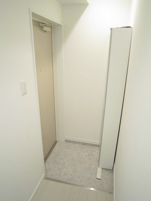 Entrance. Shoe box equipped