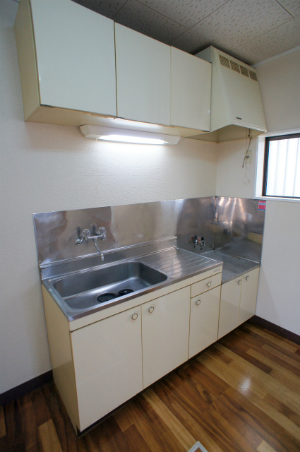 Kitchen. Gasukitchin 2-neck is correspondence