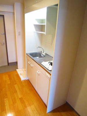 Entrance. Kitchen aside space