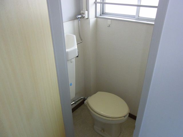 Toilet. Western-style toilet