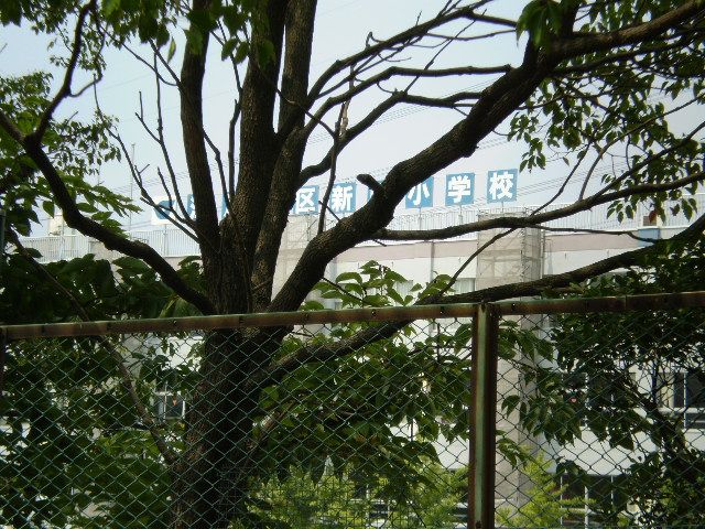 Primary school. Municipal 380m Nitta to elementary school (elementary school)