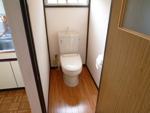 Toilet. Beautiful toilet