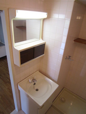 Washroom. Convenient independent wash basin