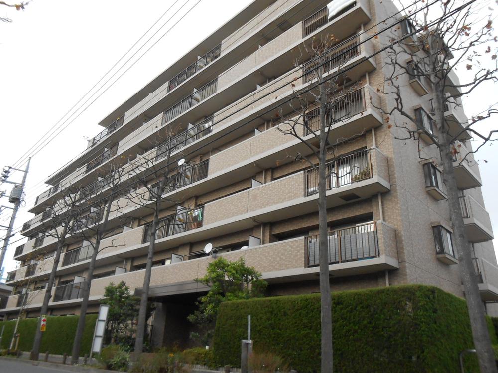 Local appearance photo. Local (11 May 2013) Shooting