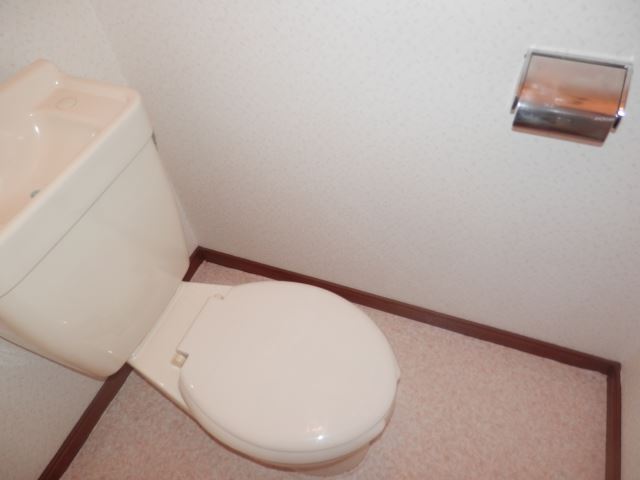 Toilet. Toilet