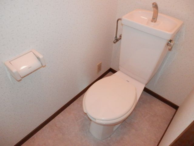 Toilet. Toilet