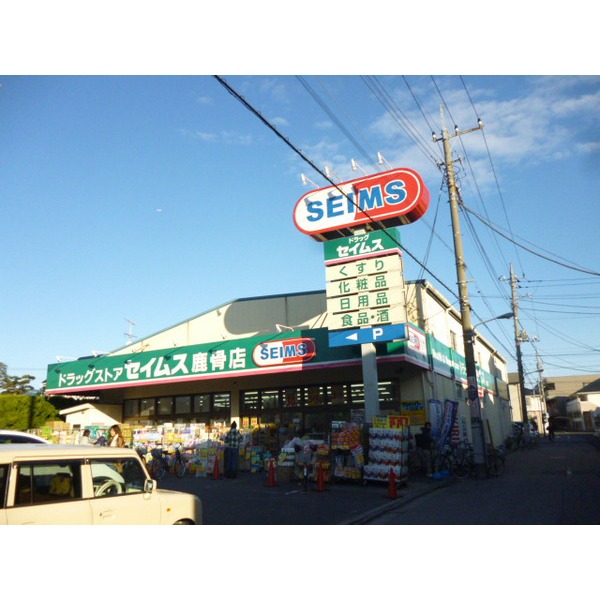 Dorakkusutoa. Drag Seimusu Shishibone shop 57m until the (drugstore)