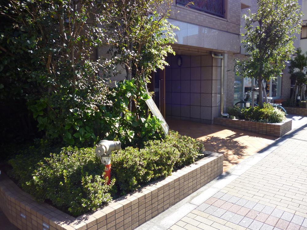 Entrance. Common areas