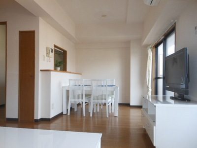 Living and room. Living