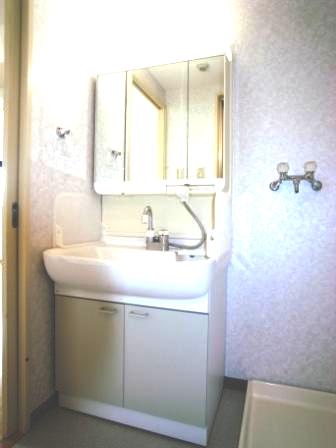 Washroom. Shampoo dresser