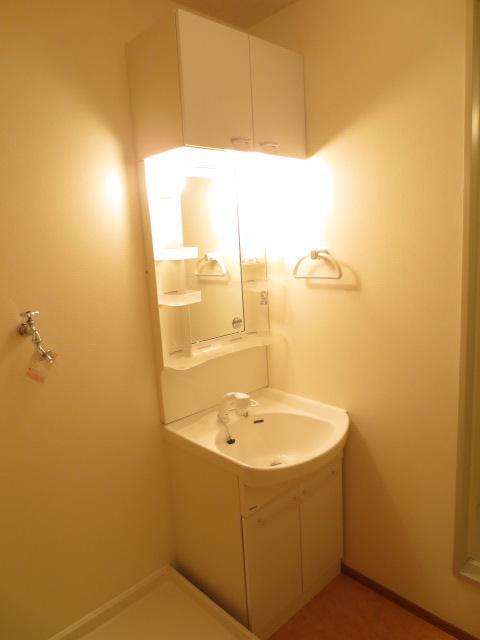 Washroom. Convenient shampoo dresser in a busy morning