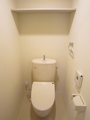 Toilet. You can stored in the shelf