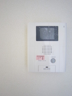 Security. Auto-lock with monitor